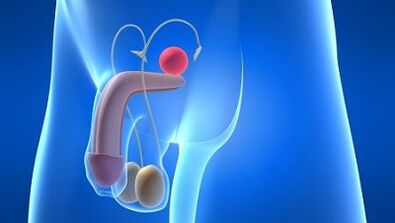 Λίπανση στους άνδρες κατά τη διάρκεια του ενθουσιασμού τι είναι